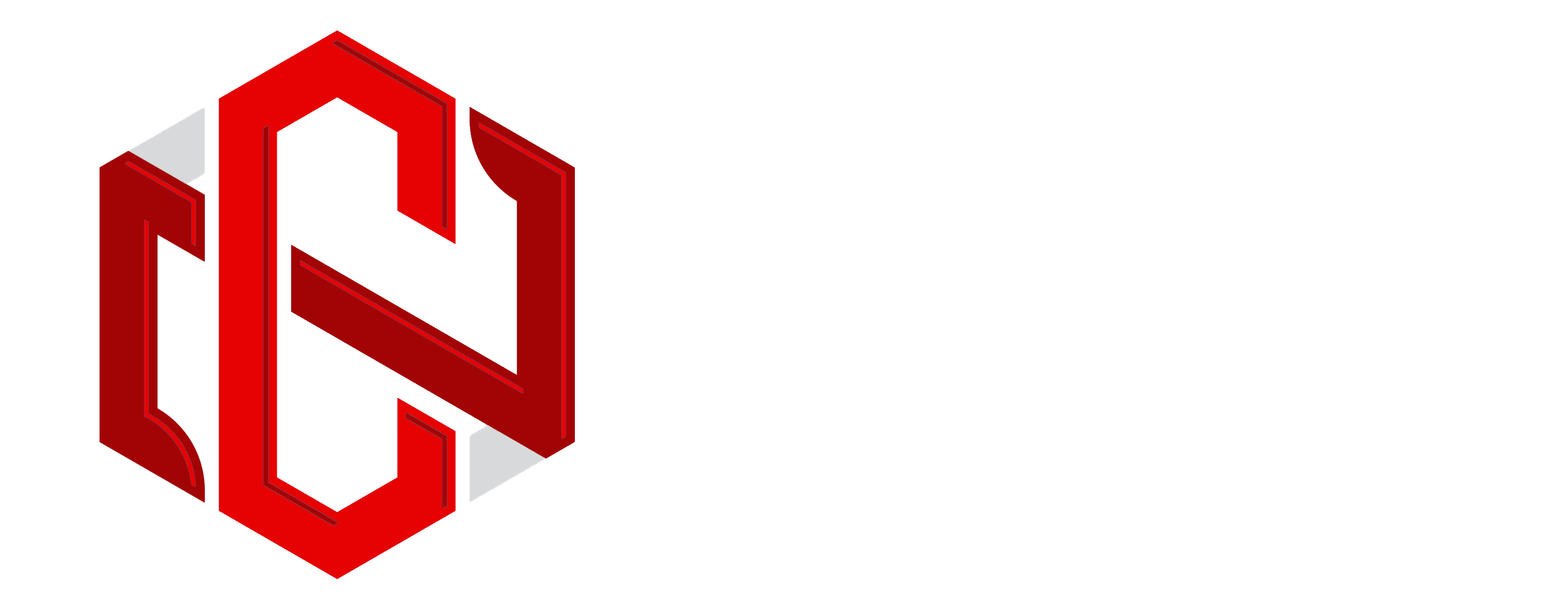 cn sorin logo transparente